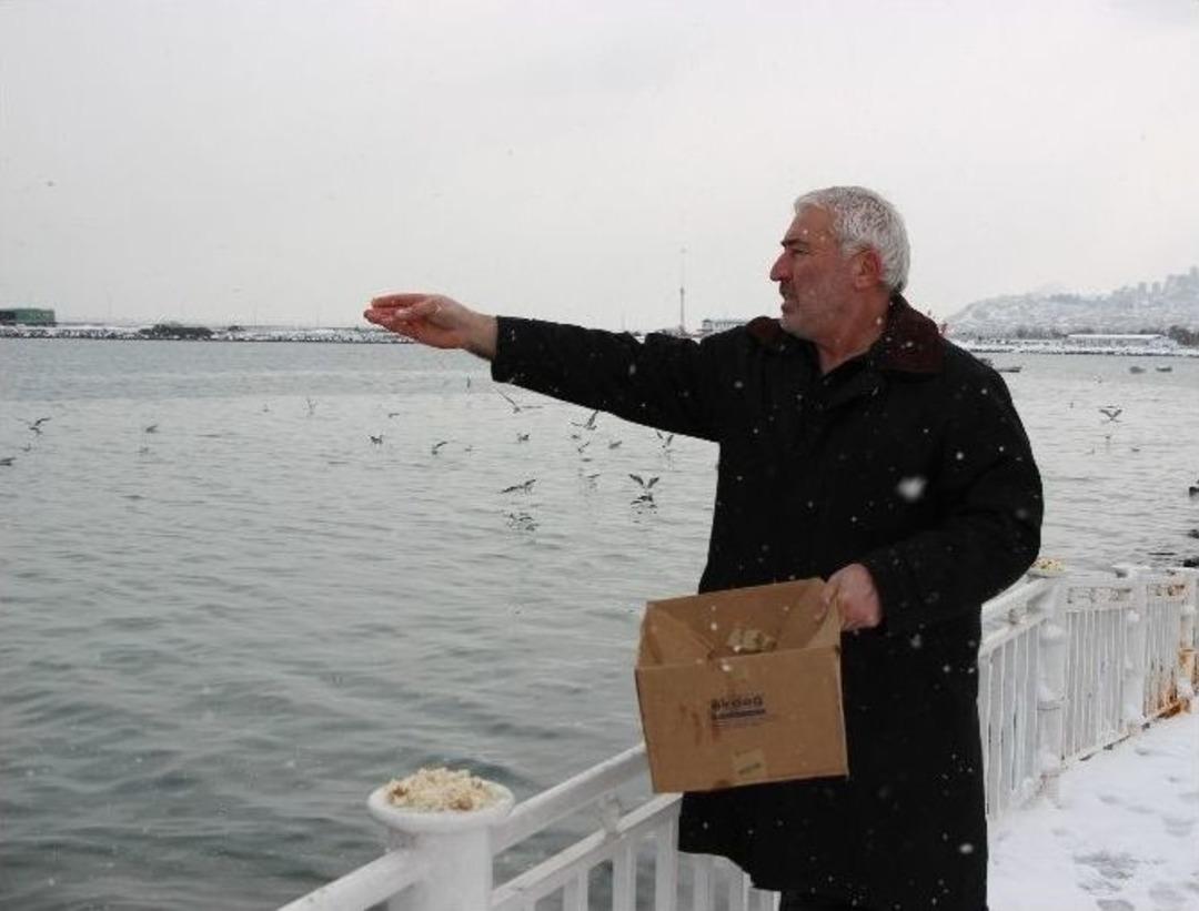 A&ccedil; Kalan Martıları Besledi