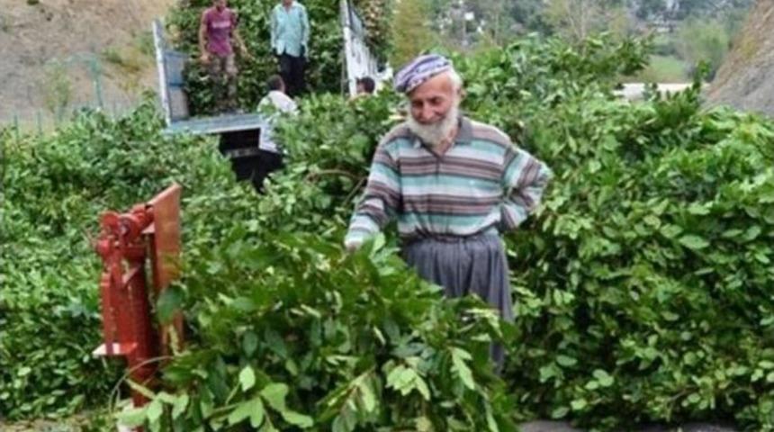 Defne Değil &lsquo;define&rsquo;