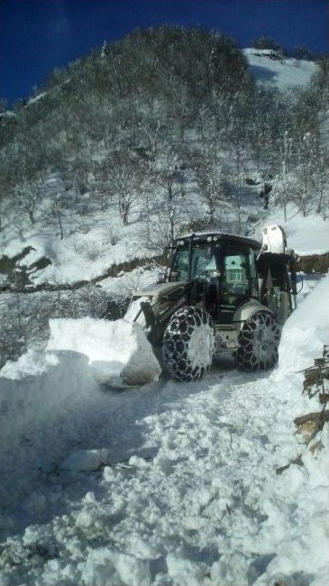 Trabzon’da Hasta Vatandaşlar İçin Seferberlik İlan Edildi