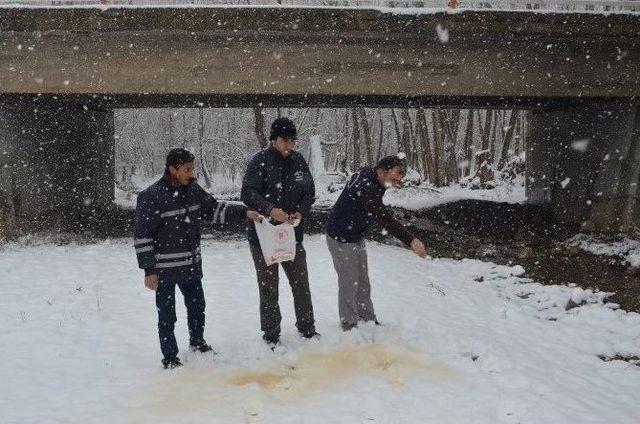 Hayvanlar İçin Doğaya Yem Bırakıldı