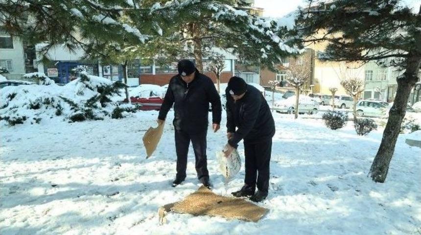 İlkadım&rsquo;dan Sokak Hayvanlarına Yiyecek