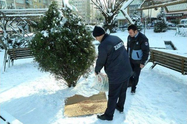 İlkadım’dan Sokak Hayvanlarına Yiyecek