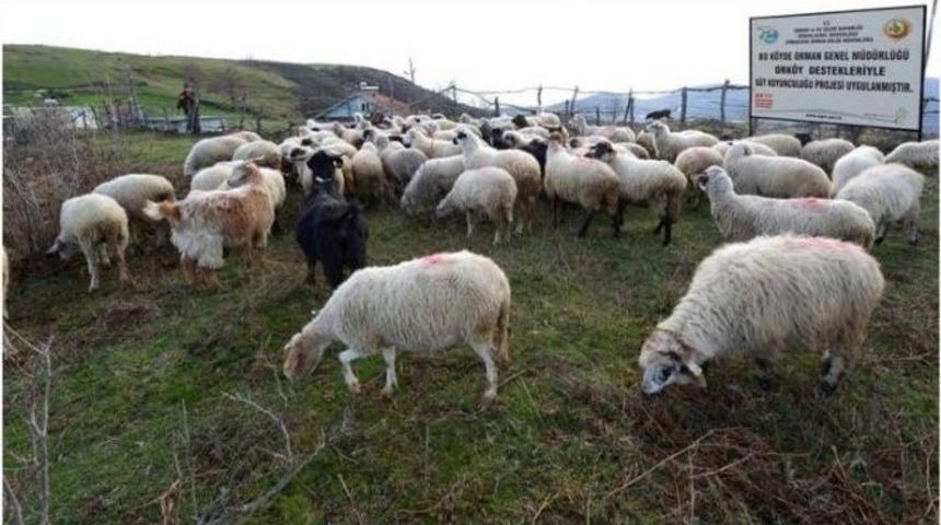 Orman K&ouml;yl&uuml;s&uuml; Kalkındırılıyor