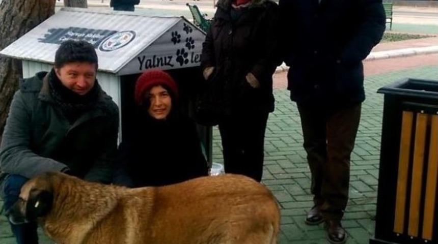 Sokak Hayvanları İçin ‘insanlığımız Buz Tutmasın’ Çalışması