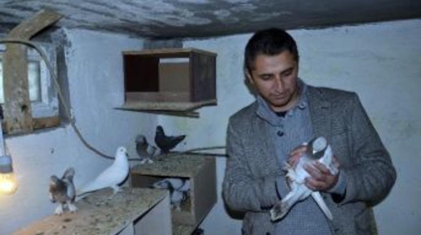 Batman&rsquo;da &lsquo;g&uuml;vercin&rsquo; Hırsızlığı