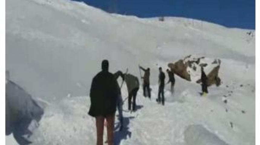 Hakkari&rsquo;de K&uuml;reklerle Yol A&ccedil;ma &Ccedil;alışması