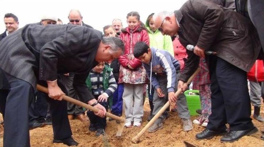 Silifke&rsquo;de &Ouml;ğrenciler Fidan Dikti