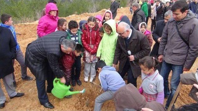 Silifke’de Öğrenciler Fidan Dikti