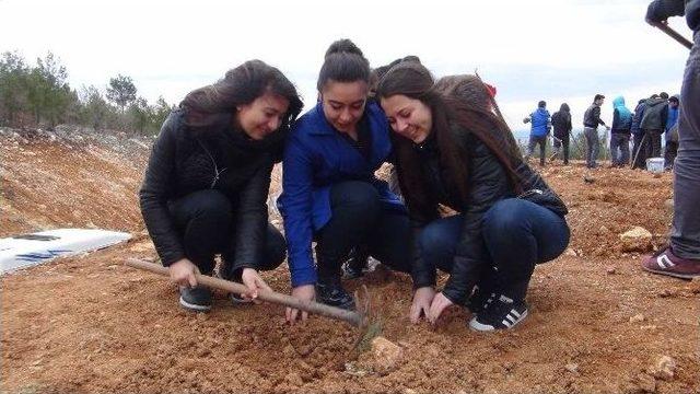 Silifke’de Öğrenciler Fidan Dikti