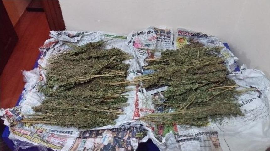 Niğde&rsquo;de Uyuşturucu Satıcısı Yakalandı