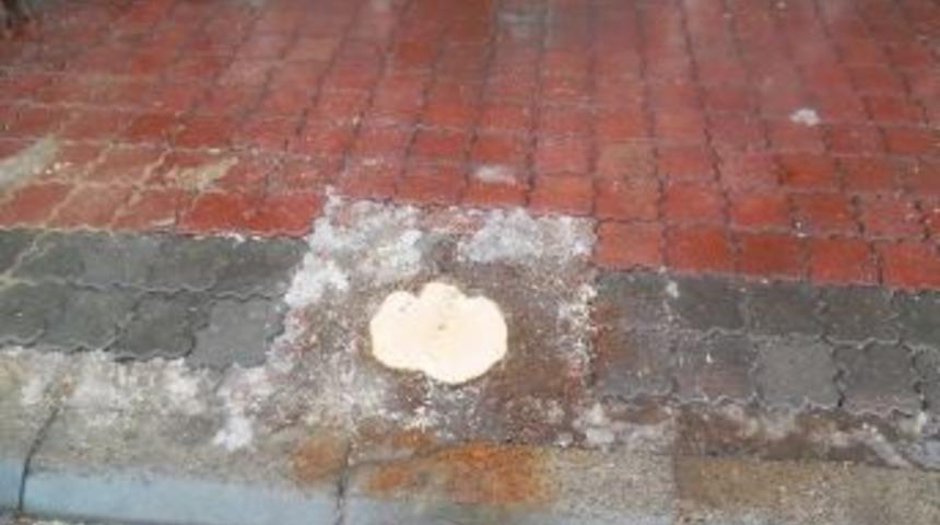 Ağaç Kesen Esnafa 1000 Tl Ceza