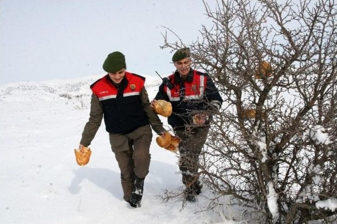 Jandarmadan &Ouml;rnek Davranış