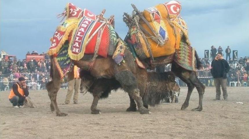 Burhaniye&rsquo;de Hafta Sonu Festival Var