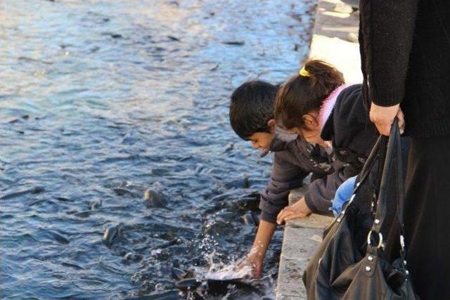 Güneş Yüzünü Gösterince Vatandaşlar Balıklıgöl’e Akın Etti