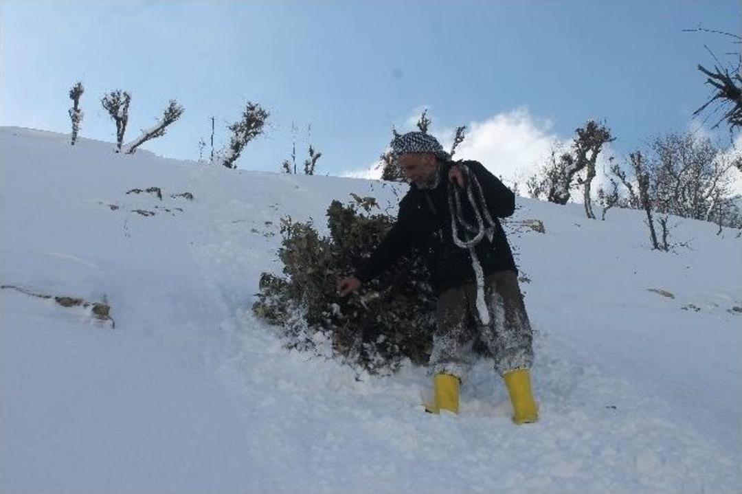 (&ouml;zel Haber) Sınırın Sıfır Noktasında Yaşam M&uuml;cadelesi