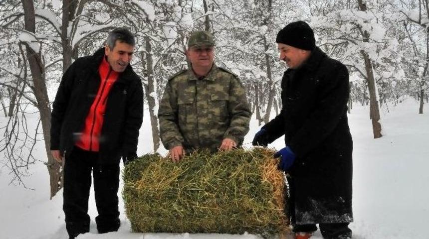 Akşehir&rsquo;de Yabani Hayvanlara Yiyecek Bırakıldı