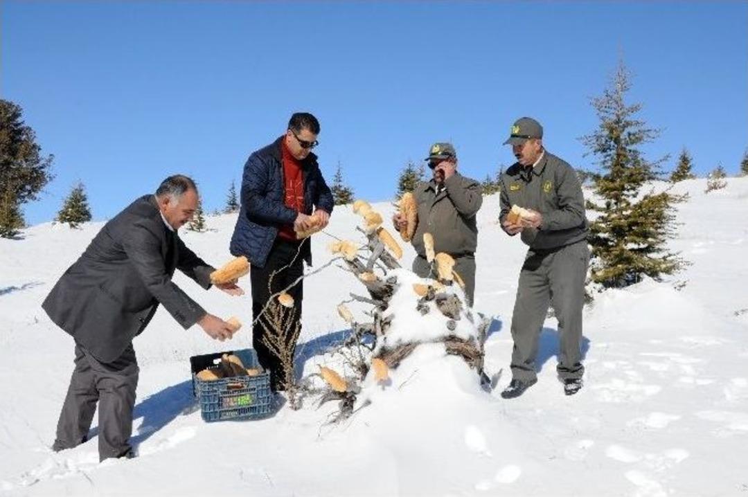 Yaban Hayvanları İ&ccedil;in Doğaya Ekmek Bırakıldı
