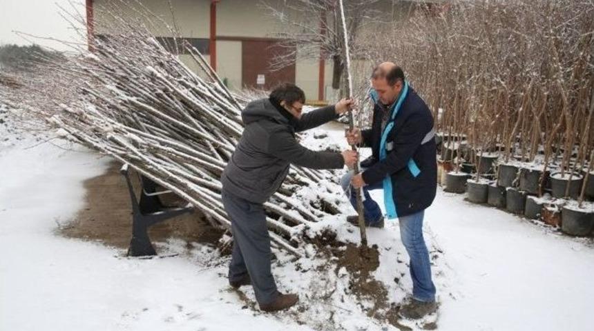 Fidanlar Nil&uuml;fer Belediyesi&rsquo;nden