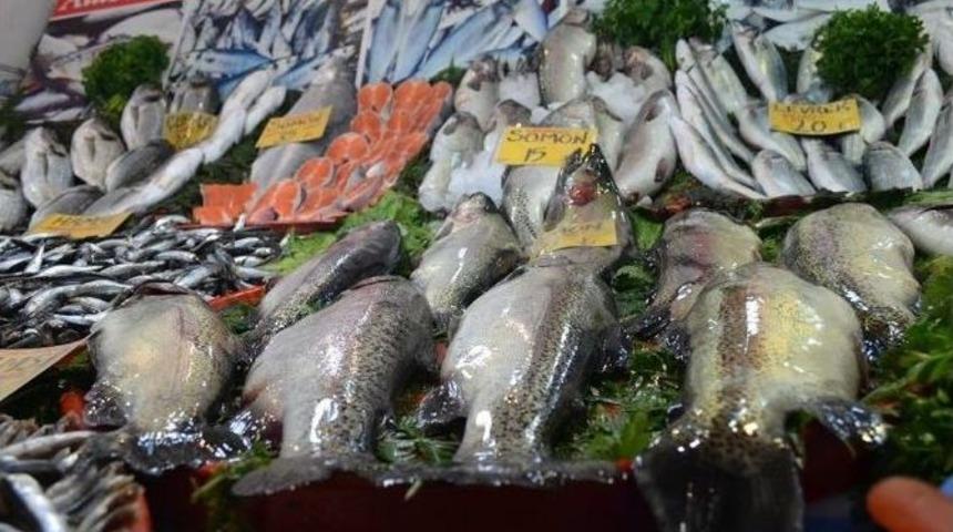 Malatya Balık Pazarında Hamsi Bereketi Yaşanıyor