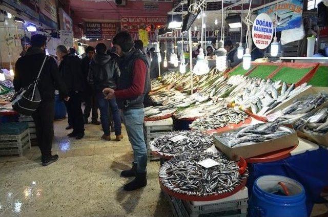 Malatya Balık Pazarında Hamsi Bereketi Yaşanıyor