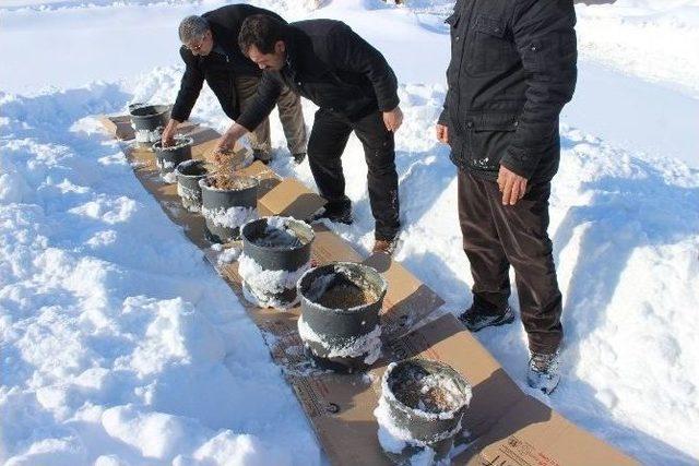 Mşü Personeli Doğaya Yem Bıraktı