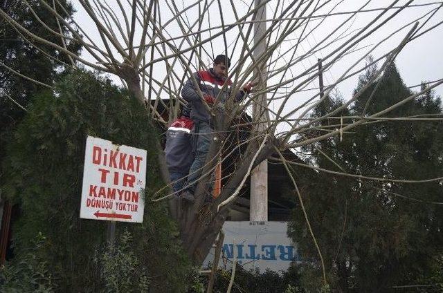 Turgutlu Belediyesi’nden Yardıma Muhtaçların Evlerini Isıtan Çalışma