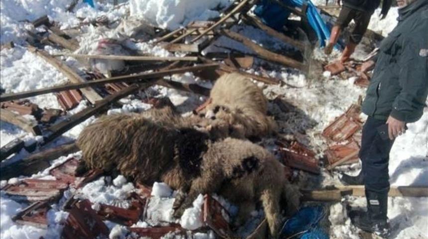Ahır &Ccedil;&ouml;kt&uuml;, 15 Hayvan Telef Oldu