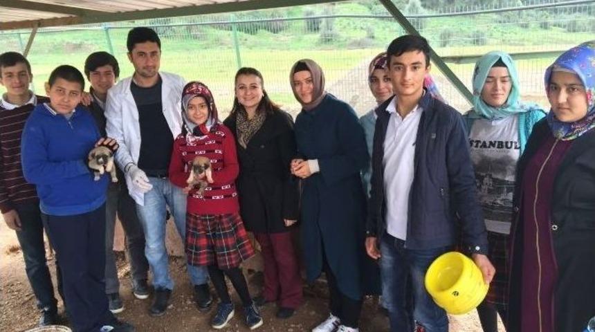 İmam Hatip Liseli Öğrencilerden Hayvanlara Mama Ve Süt