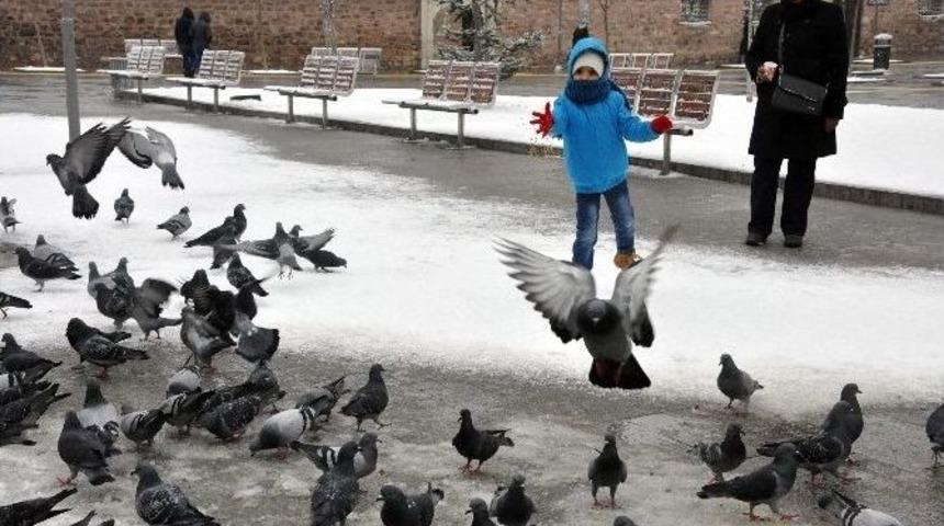 A&ccedil; Kalan Kuşları Vatandaş Besliyor