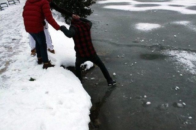 Kocaeli Fuarı’nda Bulunan Gölet Buz Tuttu