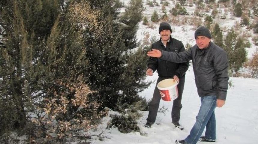 Hisarcık&rsquo;ta Kuşlar İ&ccedil;in Doğaya Yem Bırakıldı