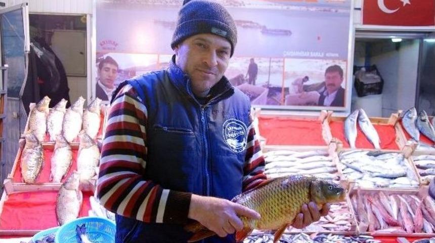 Kar Yağdı Balık Satışları Arttı