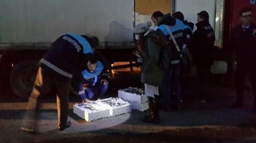 Boy Yasağına Riayet Etmeyen Balık&ccedil;ılara Para Cezası