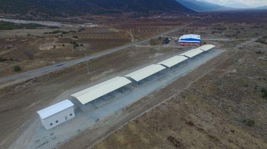 &Ccedil;ivril&rsquo;e Kiraz Alım Merkezi Yapıldı