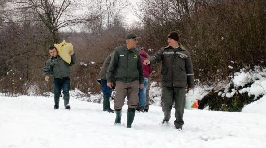 D&uuml;zce&rsquo;de A&ccedil; Kalan Kuşlar İ&ccedil;in Doğaya Yem Bırakıldı