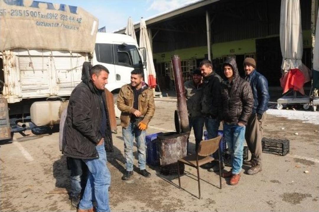 Meyve Ve Sebzelere Battaniyeli Koruma