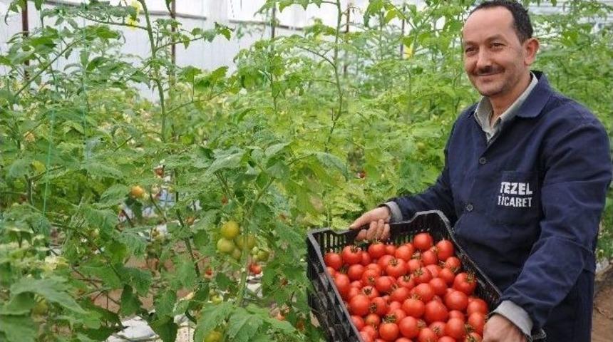 Simav&rsquo;daki Seralarda Topraksız Tarım Alanı 100 D&ouml;n&uuml;me Ulaştı