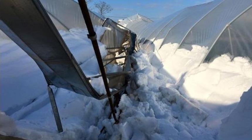 Kar Yağışı Seralara B&uuml;y&uuml;k Zarar Verdi