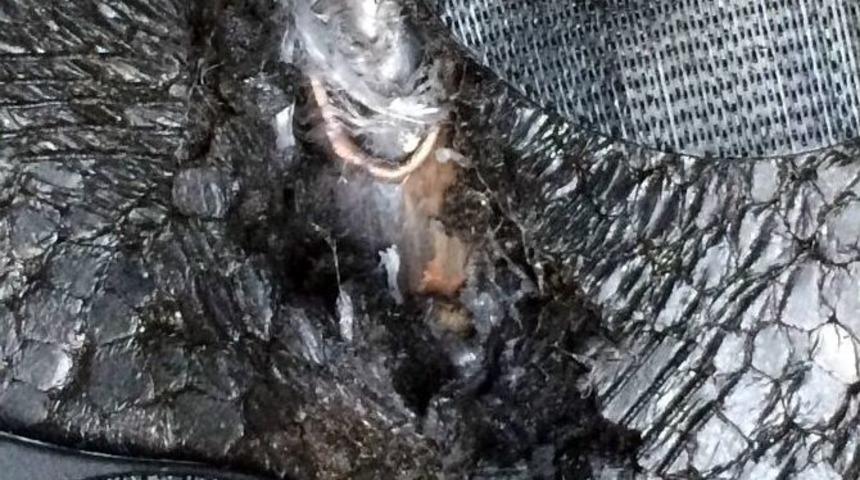 Tsk&rsquo;dan Bir İlk: Kahraman Askerin Yaralanma Anı Hikayeleştirildi