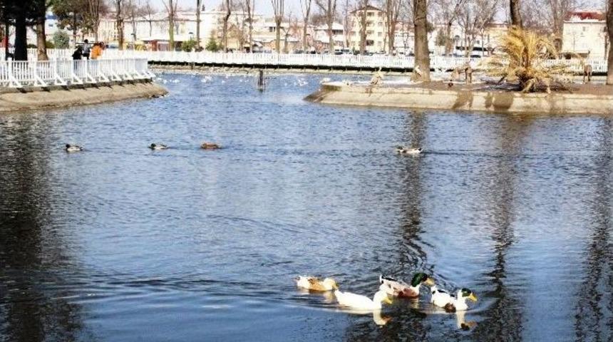 Sakarya’da Güneş Yüzünü Gösterdi