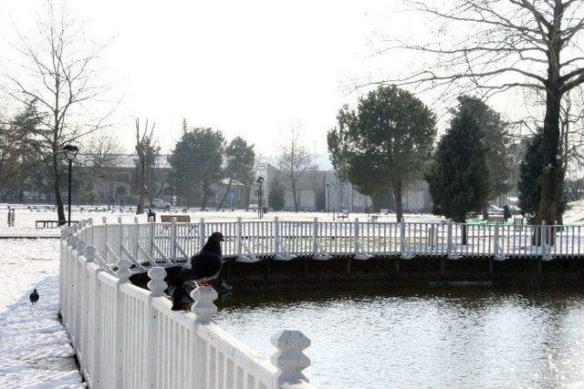 Sakarya’da Güneş Yüzünü Gösterdi