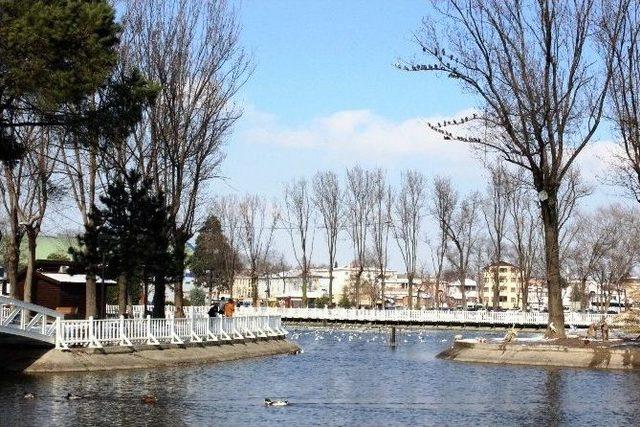 Sakarya’da Güneş Yüzünü Gösterdi