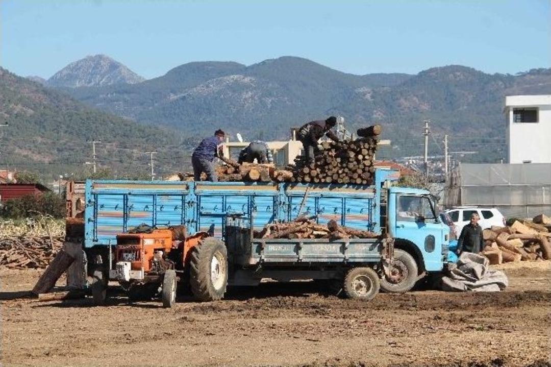 Soğuk Hava Seracıyı Yaktı