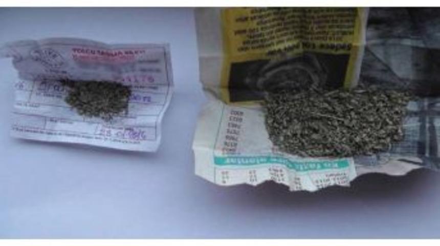 Yolcu Biletinden Bonzai &Ccedil;ıktı