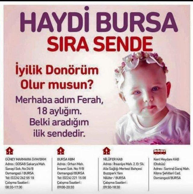 Bursalılar Ferah Bebek İçin Seferber Oldu