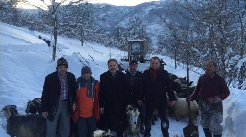 Karda Mahsur Kalan &Ccedil;oban Ve 300 K&uuml;&ccedil;&uuml;kbaş Hayvanı Kurtarıldı