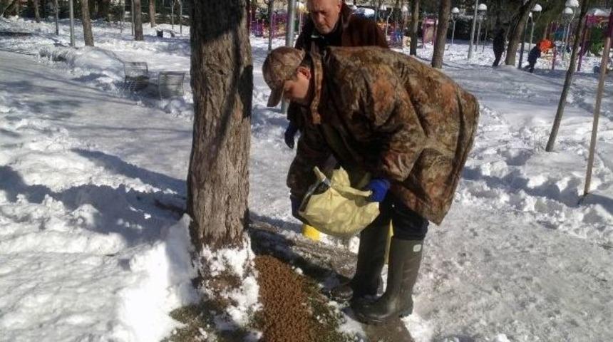 Bafra&rsquo;da Sokak Hayvanları Unutulmadı