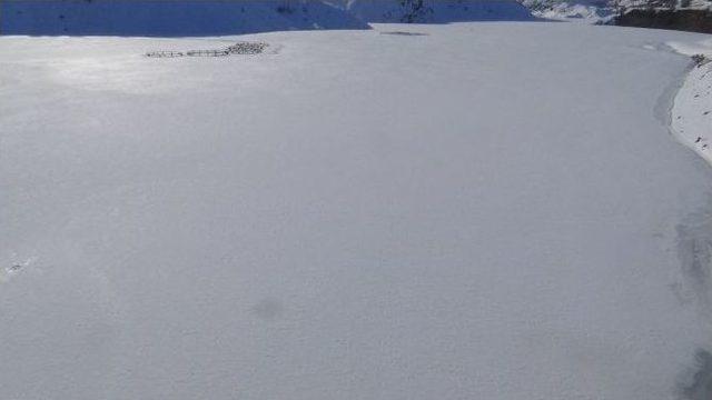 Erzincan Baraj Gölü Buz Tuttu