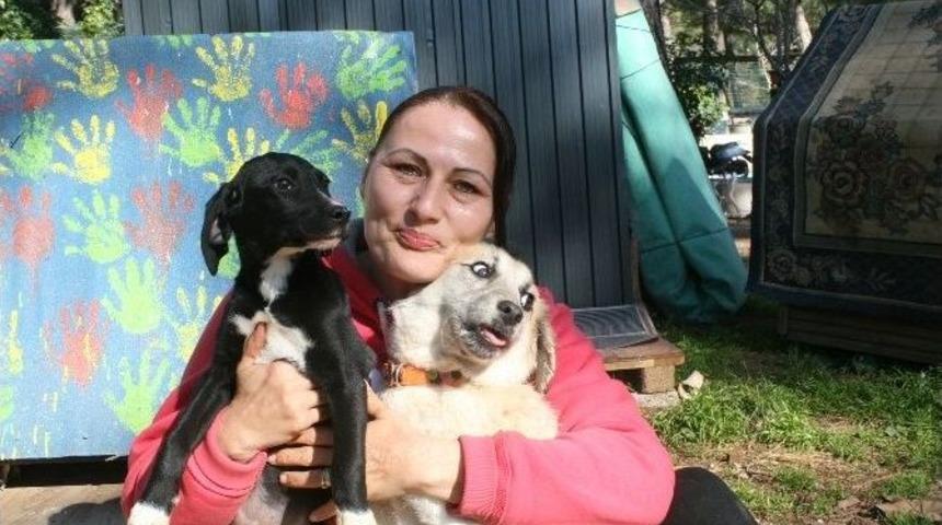 (&ouml;zel Haber) Barınakta &rsquo;ikinci Hayat&rsquo; Operasyonu