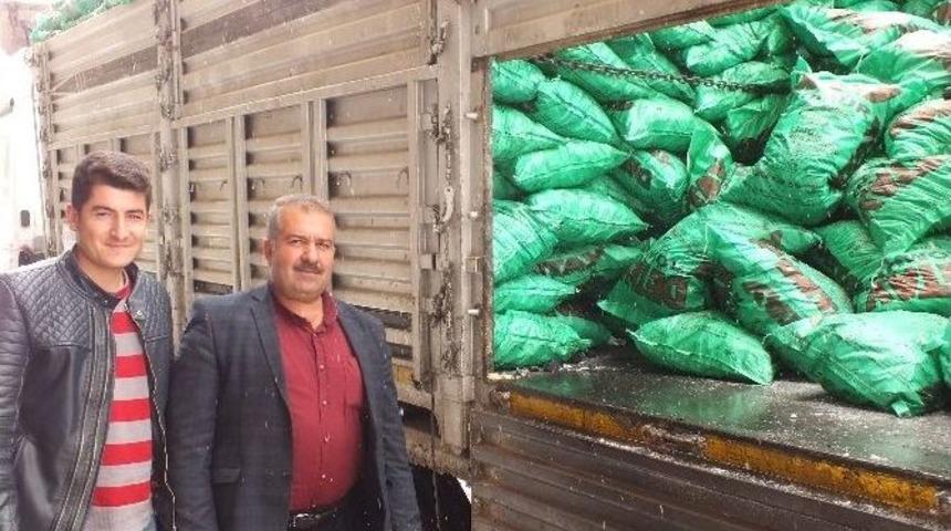 Dondurucu Soğuklar K&ouml;m&uuml;r Satışlarını Arttırdı